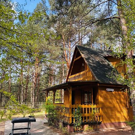 Lesniczowka Villa Rzadza Ngoại thất bức ảnh